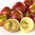 extracto de polvo de camu con contenido de vitamina C